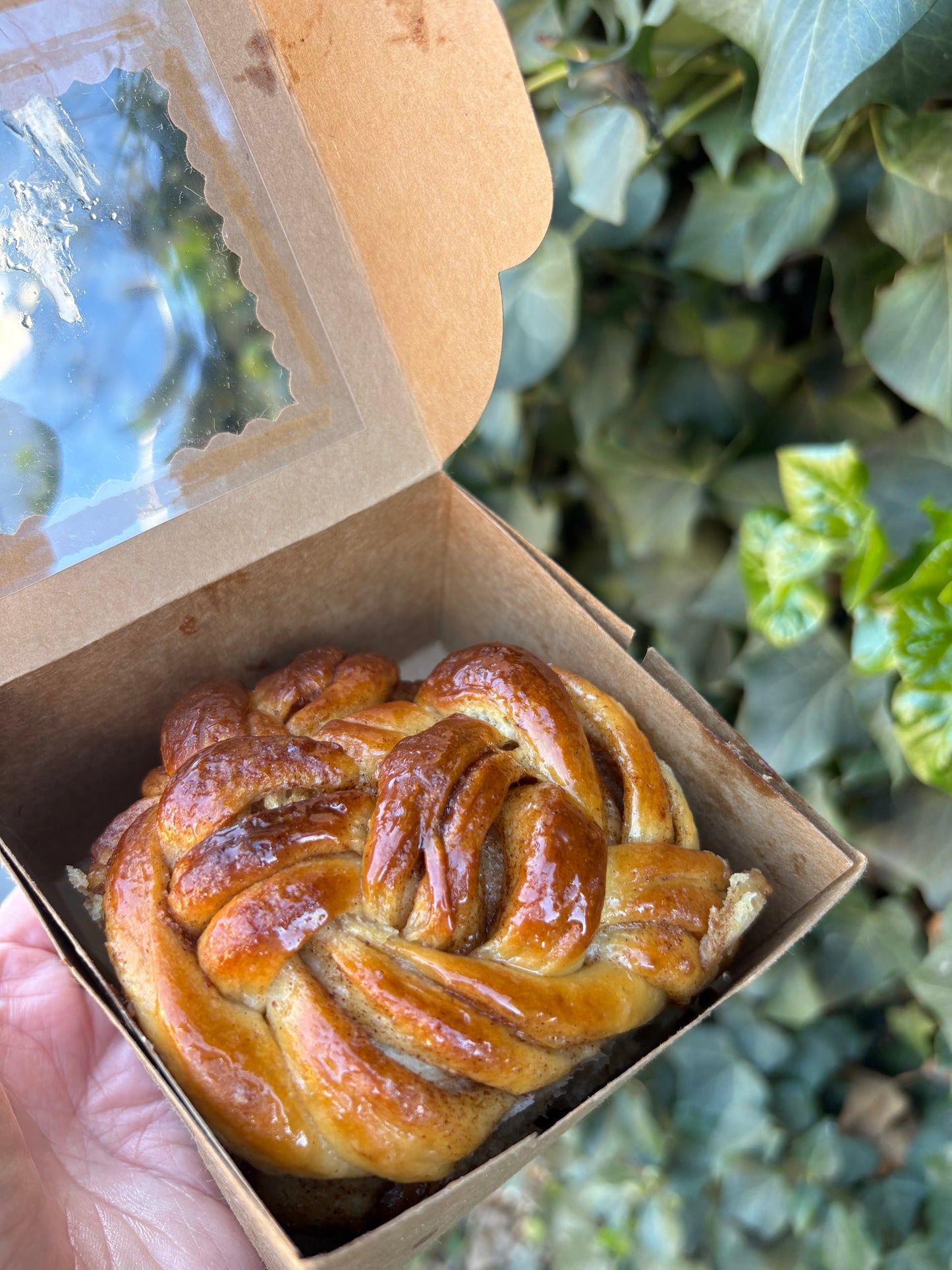 Mystery Bakes Box