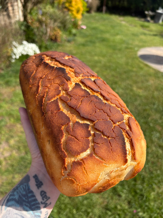 Tiger Bread