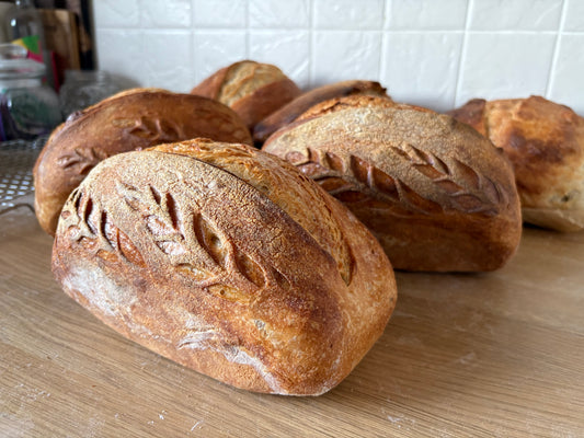 Signature Sourdough Loaf
