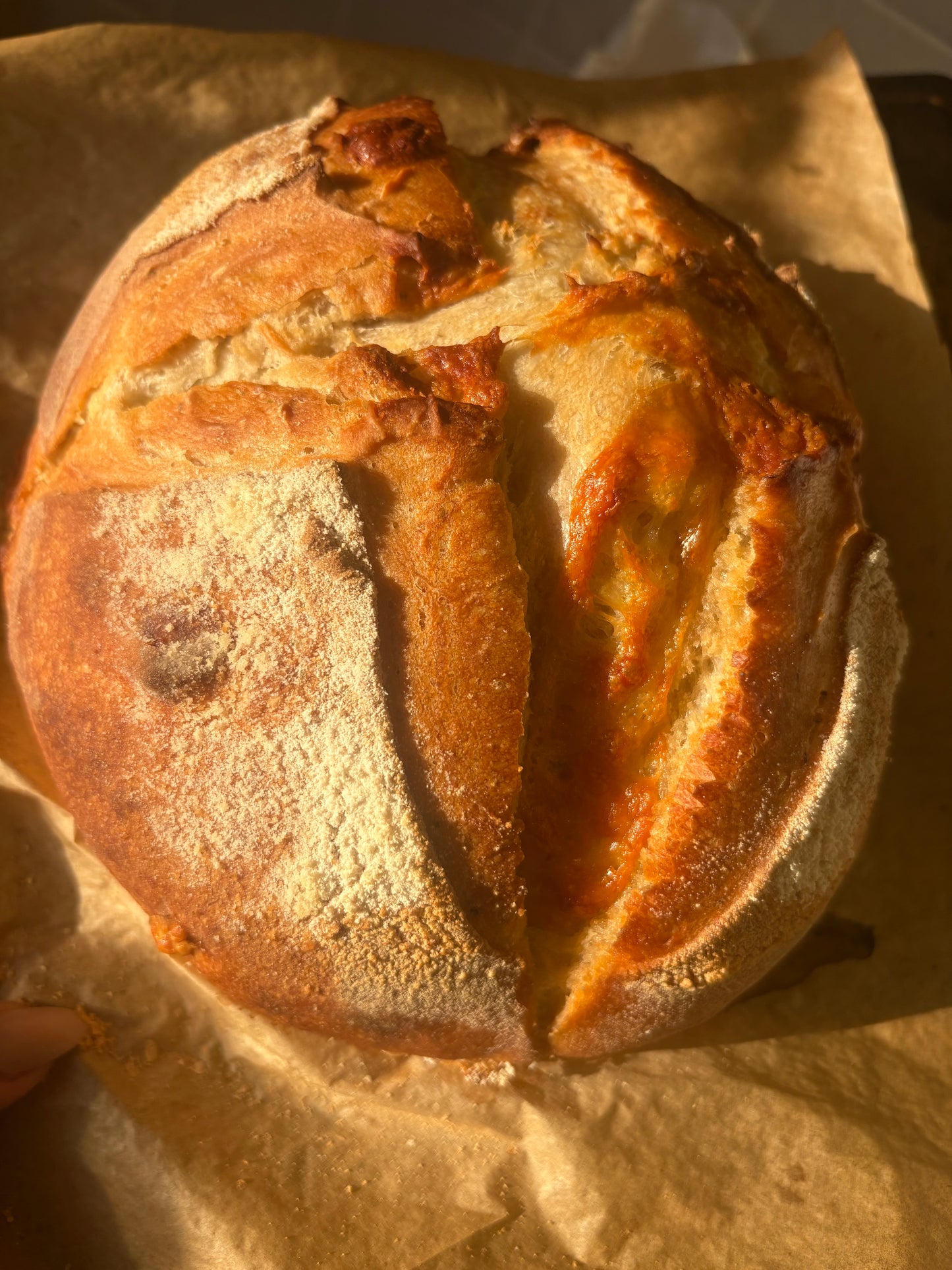Cheddar and Herb Sourdough