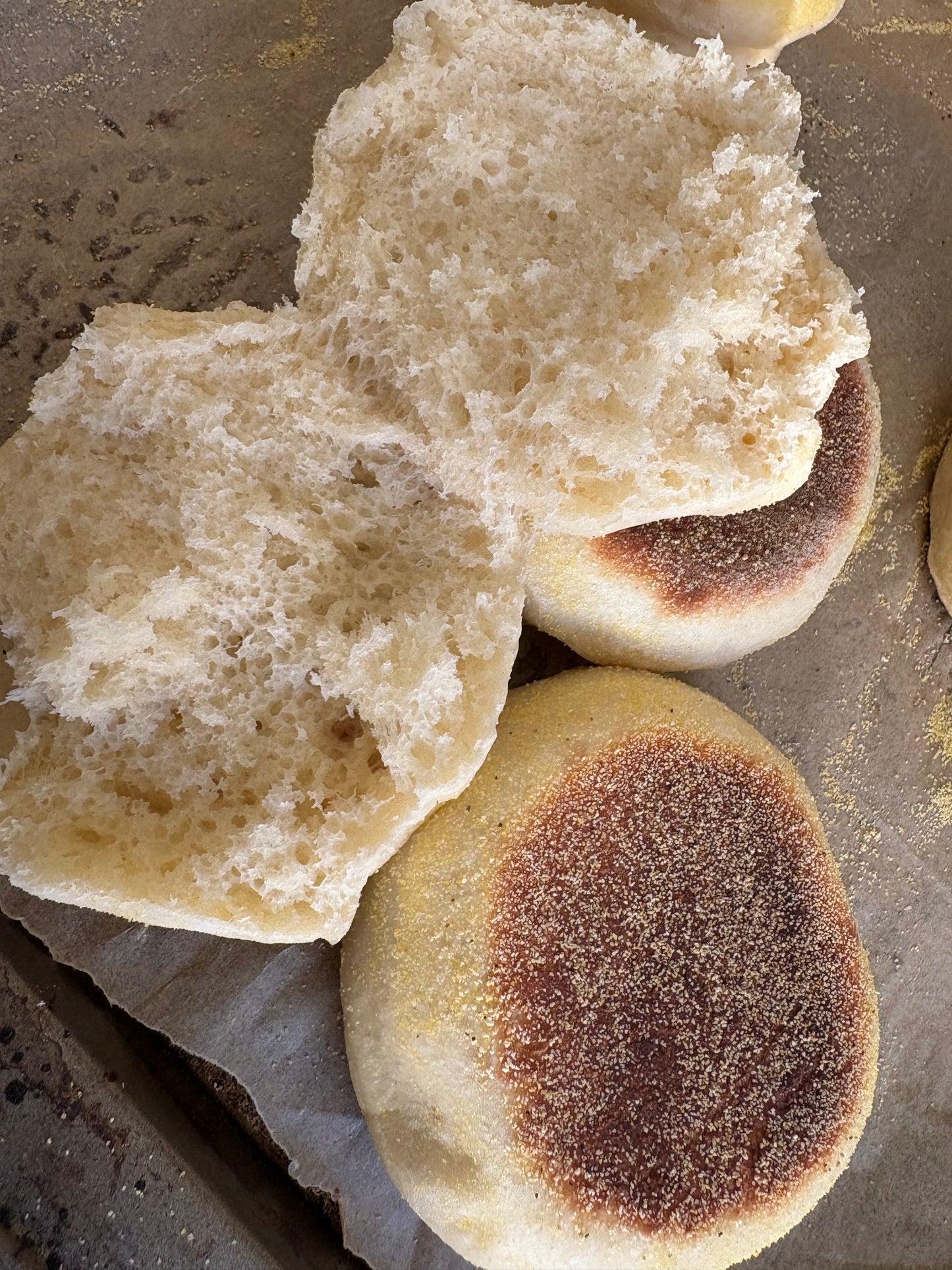Sourdough English Muffins