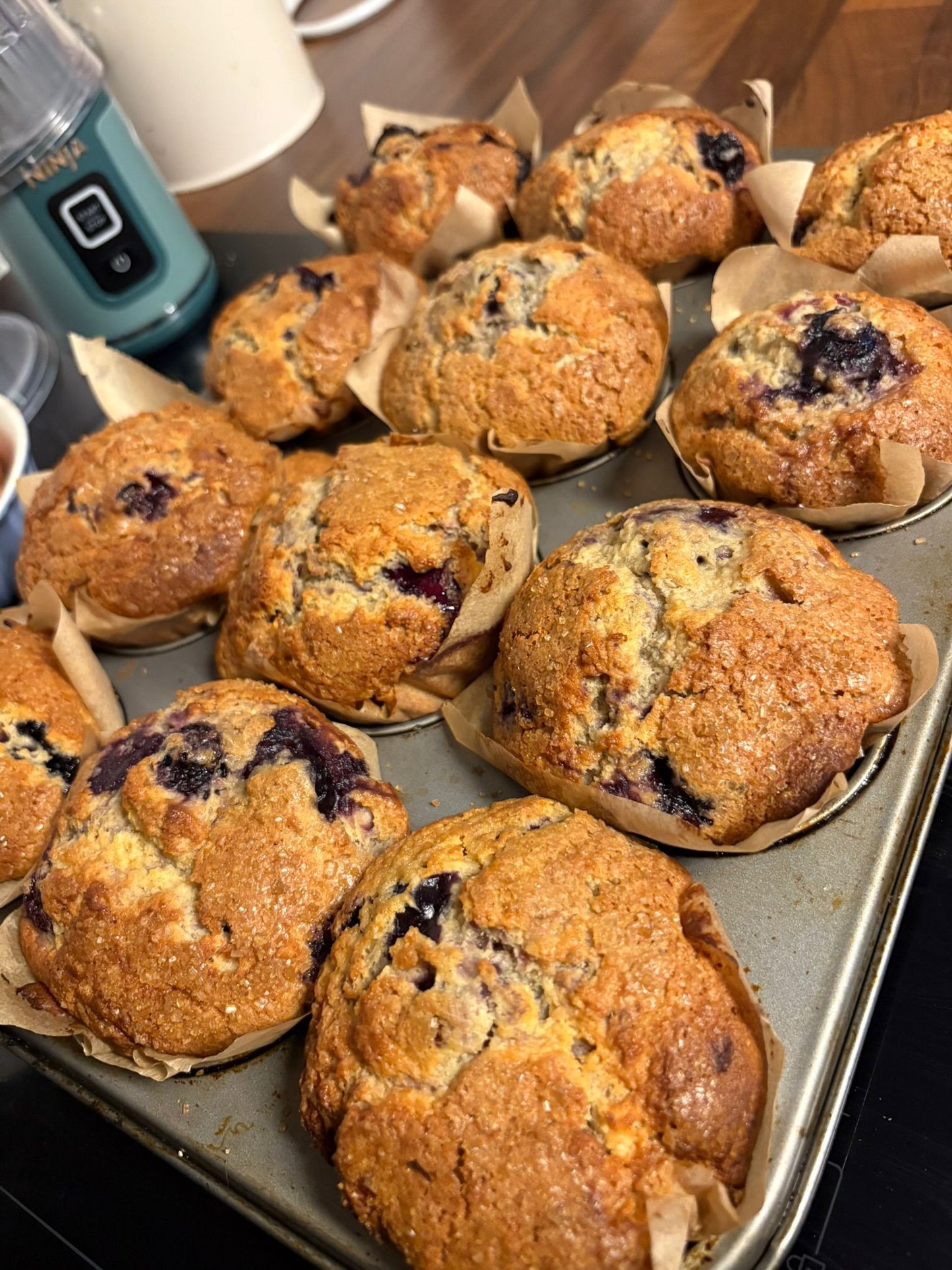 Giant Blueberry Muffins